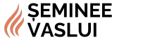 SEMINEE-VASLUI-LOGO.png